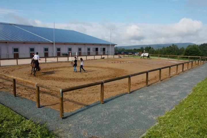 Reit- Und Sporthotel Eibenstock Dış mekan fotoğraf